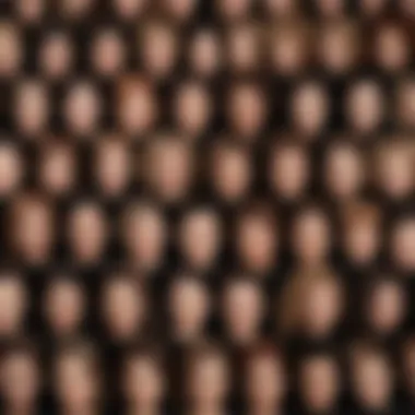 Categorizing Hair Types Close-up of hair types categorized