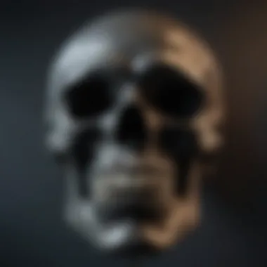 Artistic Skull Wall Art Decor Artistic Skull Wall Art Decor