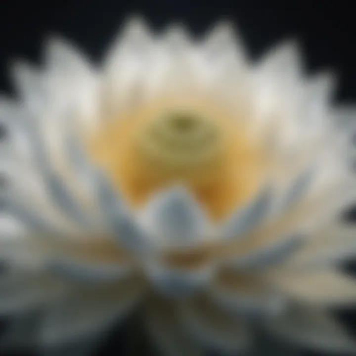 Ethereal White Lotus Blossom